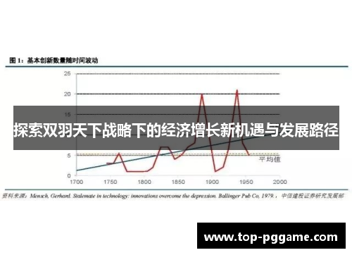 探索双羽天下战略下的经济增长新机遇与发展路径