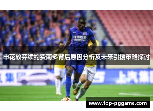 申花放弃续约费南多背后原因分析及未来引援策略探讨