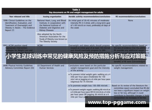 小学生足球训练中常见的健康风险及预防措施分析与应对策略