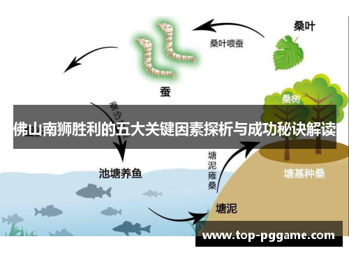 佛山南狮胜利的五大关键因素探析与成功秘诀解读